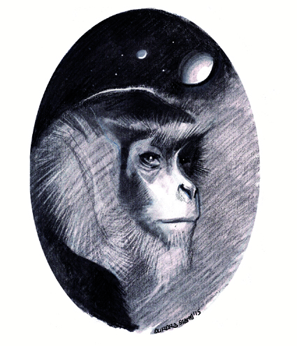 Il pianeta delle scimmie 2